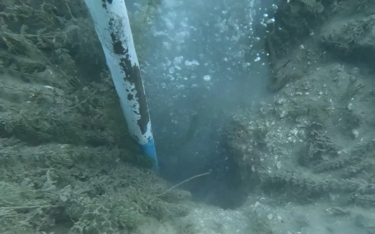Sapanca Gölü’nde kaynayan su paniği! Uzmanlar kabarcıkların nedenini açıkladı