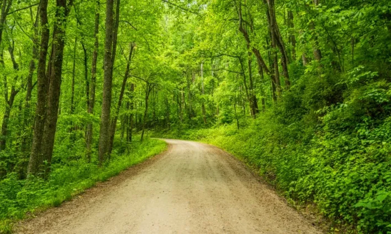 Doğayla Uyumlu Yaşam Alanları: Ahşabın Estetik ve Fonksiyonel Gücü