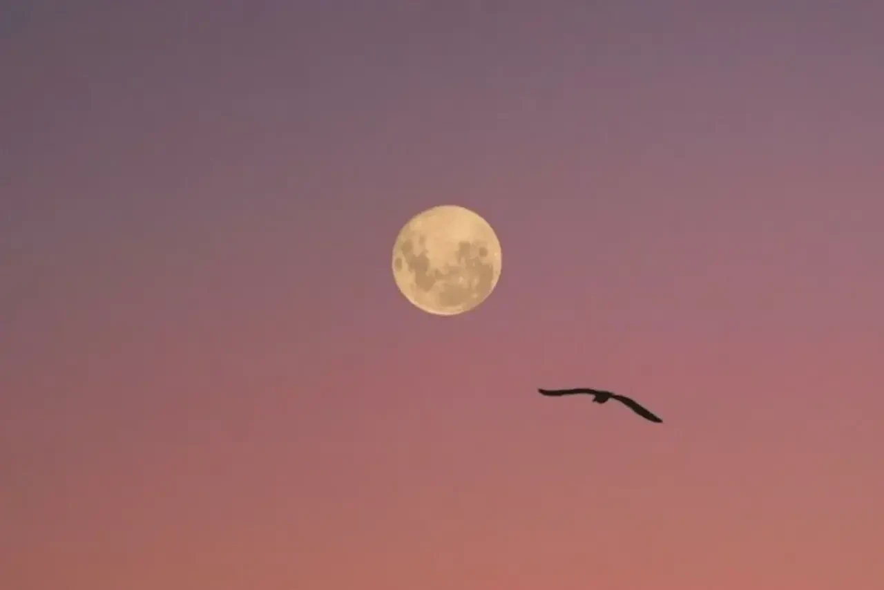 2025 Aralık dolunayı ne zaman? Nasıl gözlemlenir?