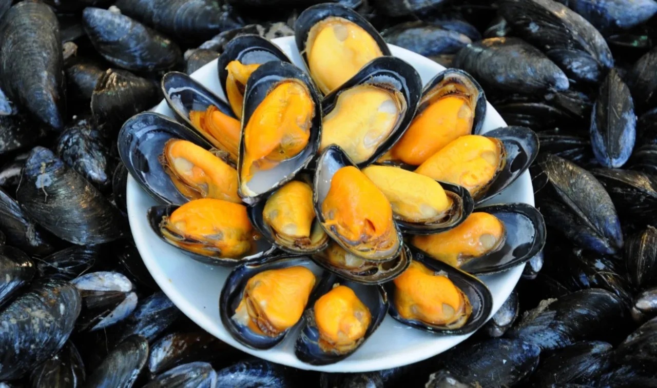 İstanbul'da kaçak midye avcılığına 339 bin 930 lira ceza