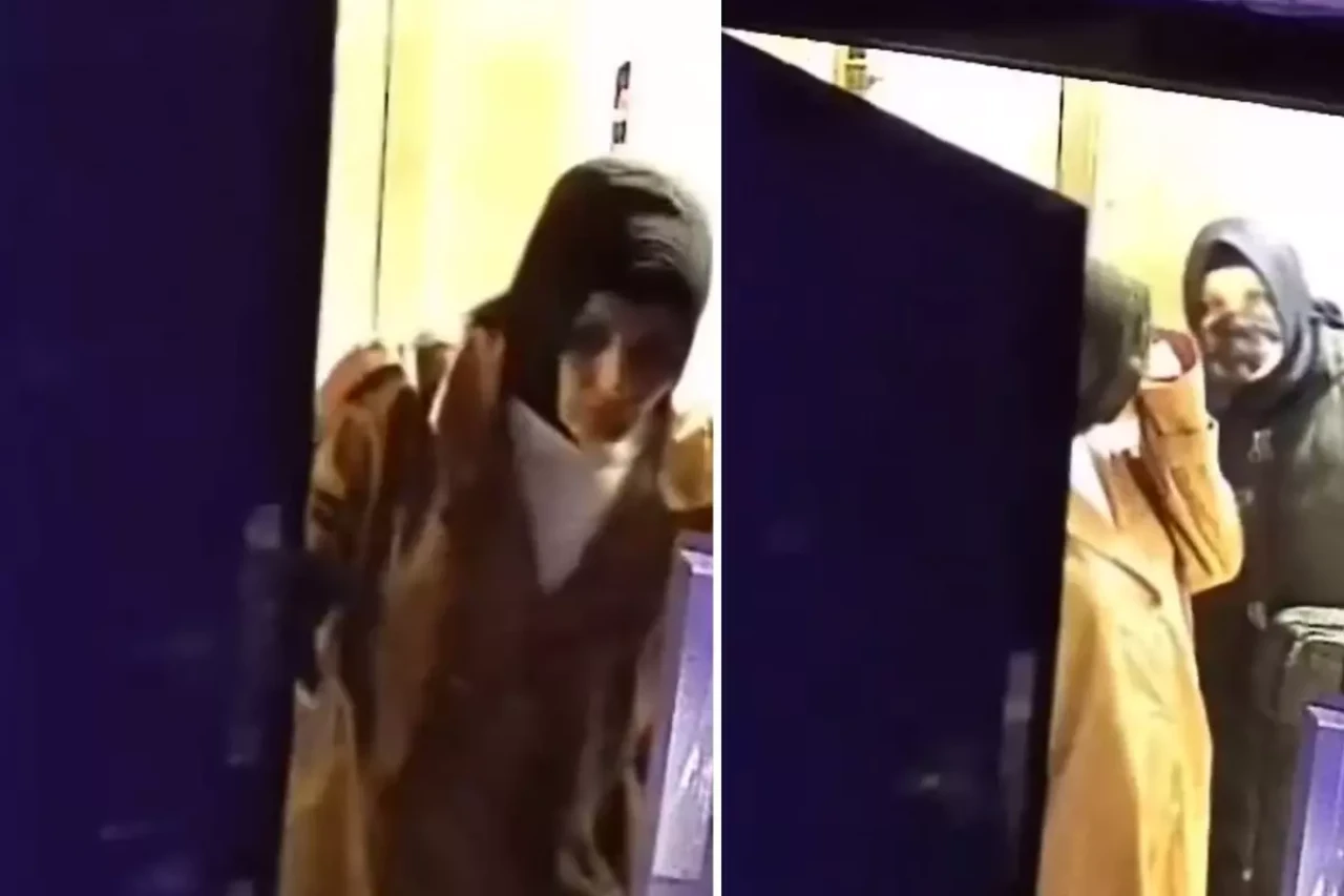 Pes dedirten görüntü: Kamera bile yaptıklarına engel olamadı