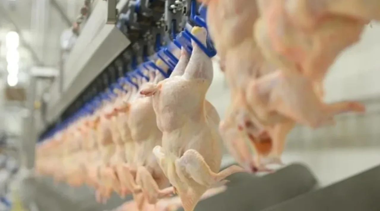 Ünlü tavuk markası konkordato ilan etti