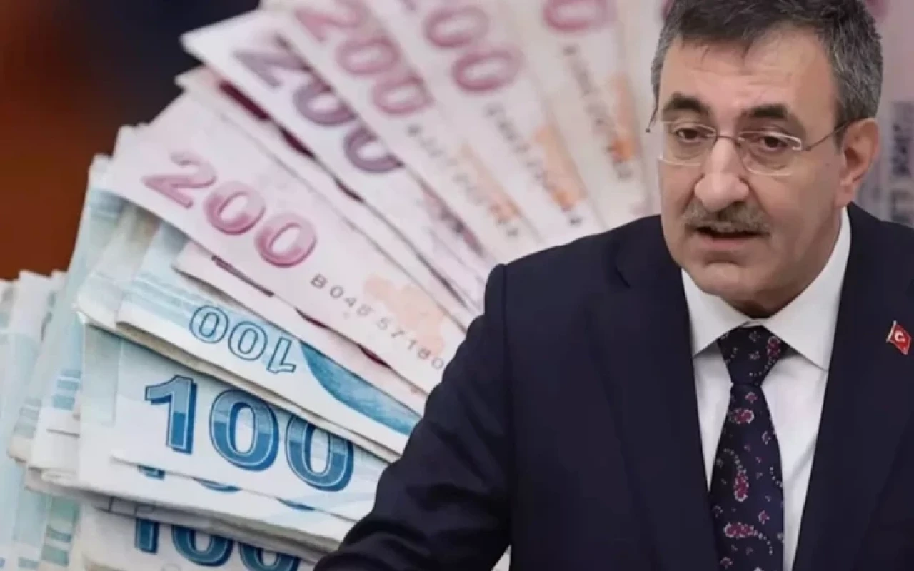 Vatandaşlık maaşı için tarih verildi: Pilot uygulama başlıyor