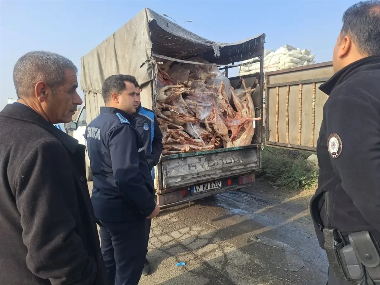 Böylesi görülmedi! Tamı tamına 1 ton 900 kilo: Yakalanmasalar hepsini vatandaşa yedireceklerdi