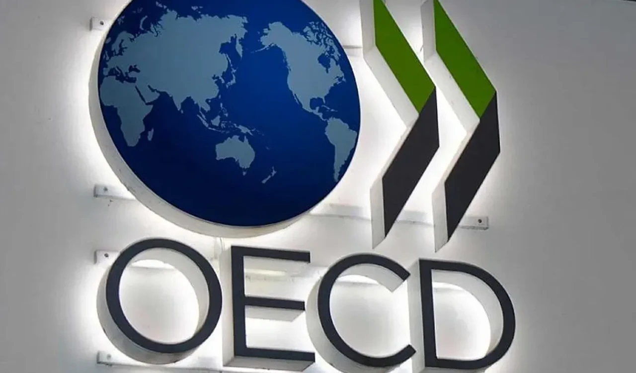 OECD Türkiye için büyüme tahminini yükseltti
