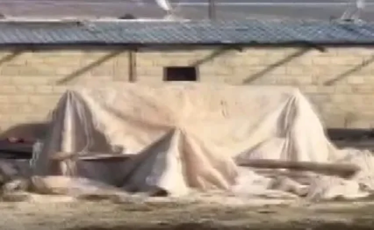 Şanlıurfa’da ahırda öyle bir şey bulundu ki.. Kimse tahmin edemezdi