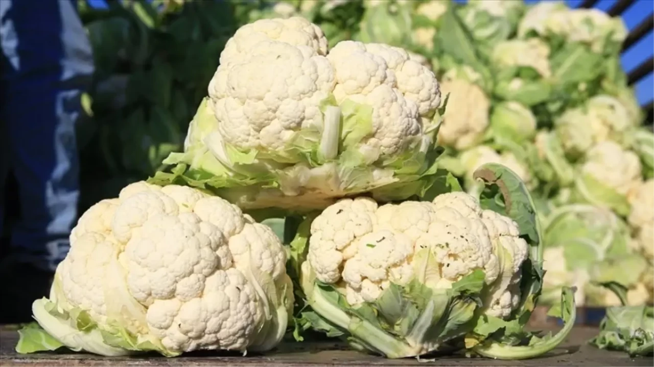 İTO açıkladı: Kasım ayının zam şampiyonu belli oldu