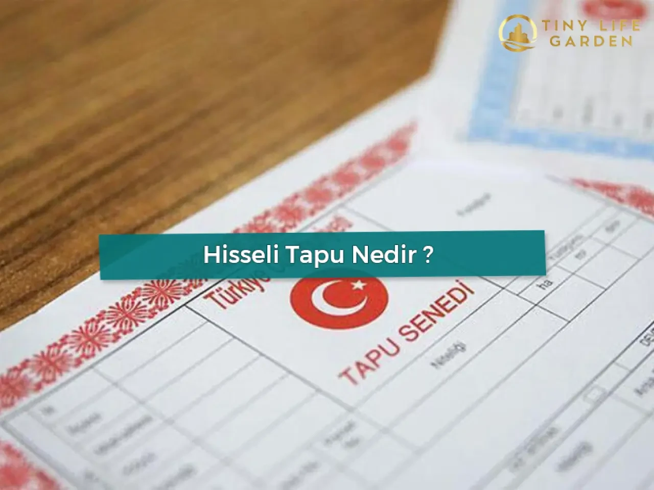 Tapu sahipleri dikkat! Tapunuzu kaybedebilirsiniz