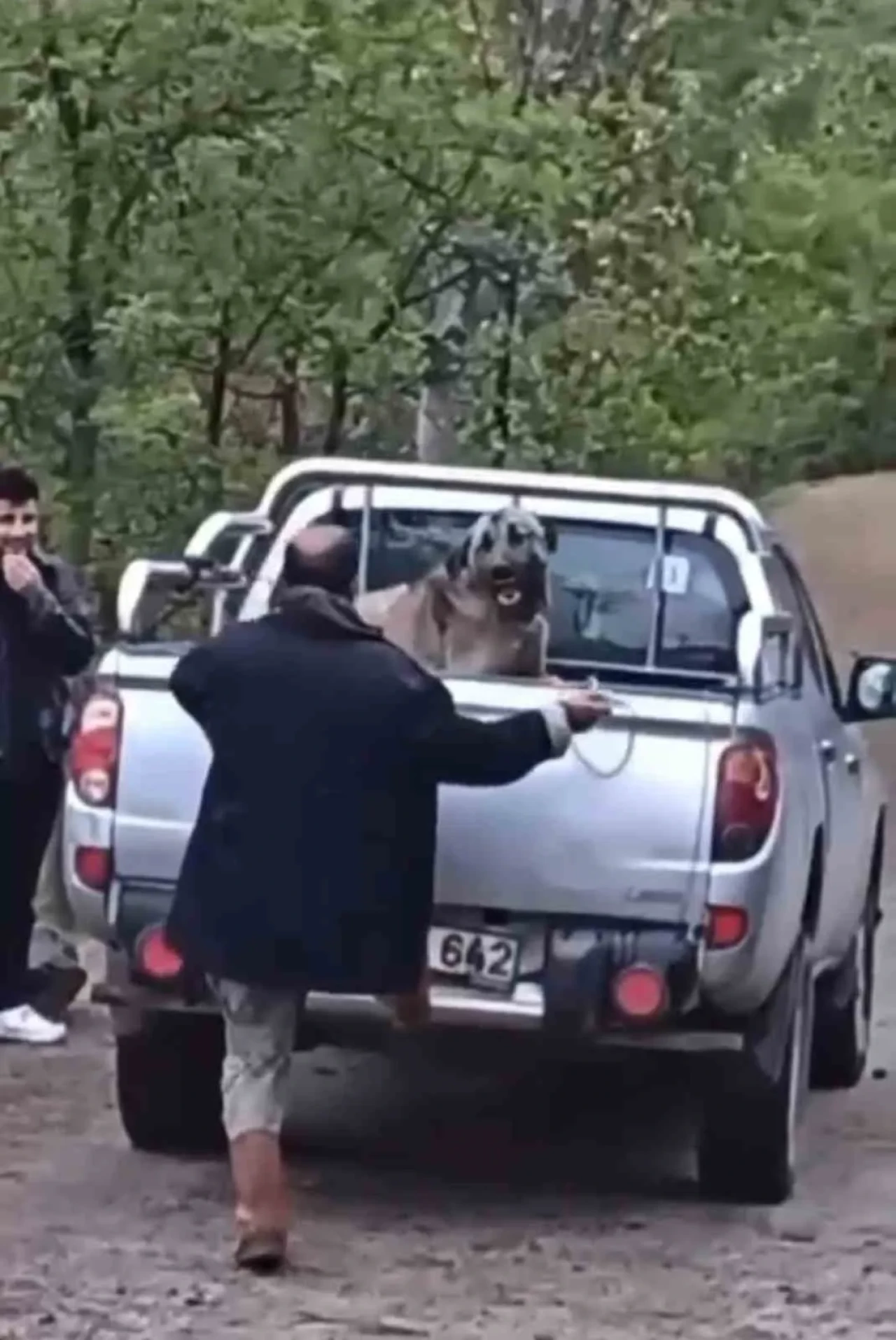 Yok böyle canilik! Trabzon'da köpeği halatla dövdü