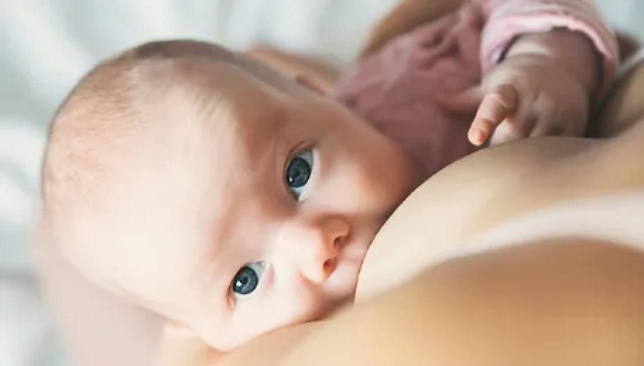 Anne Sütü Bebekler İçin En İdeal Besin