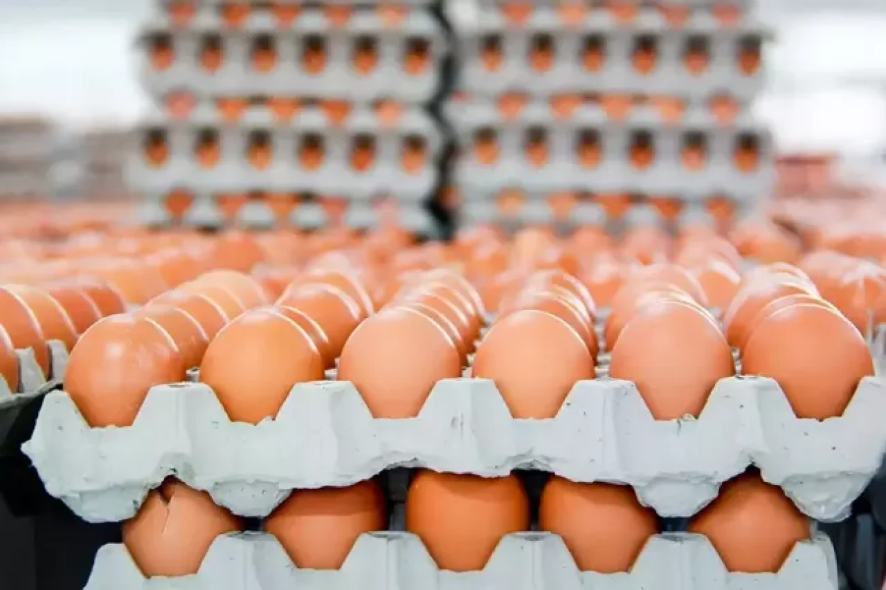 Kahverengi yumurta satışı kısıtlandı