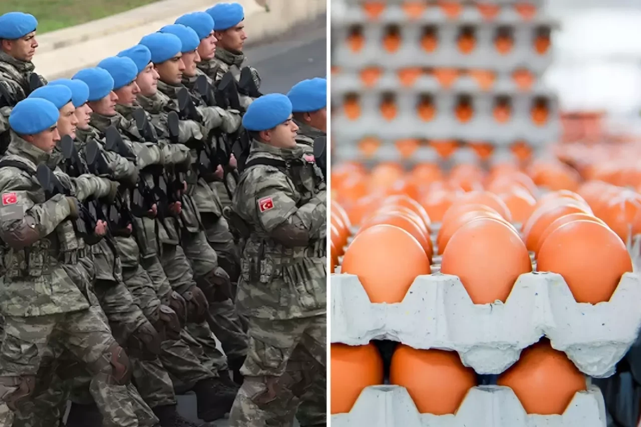 Yumurta ihracatına TSK için yeni düzenleme getirildi