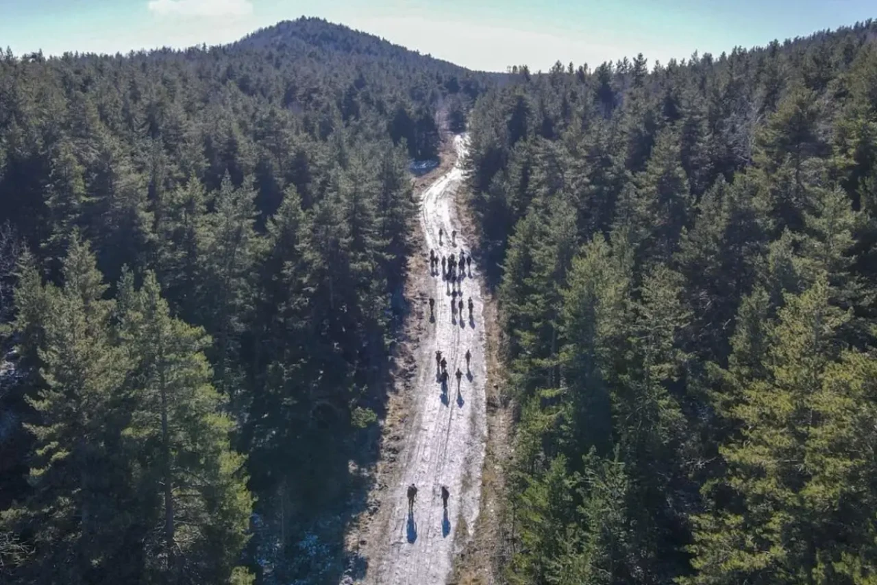 Ankara'da ormanlara giriş yasaklandı