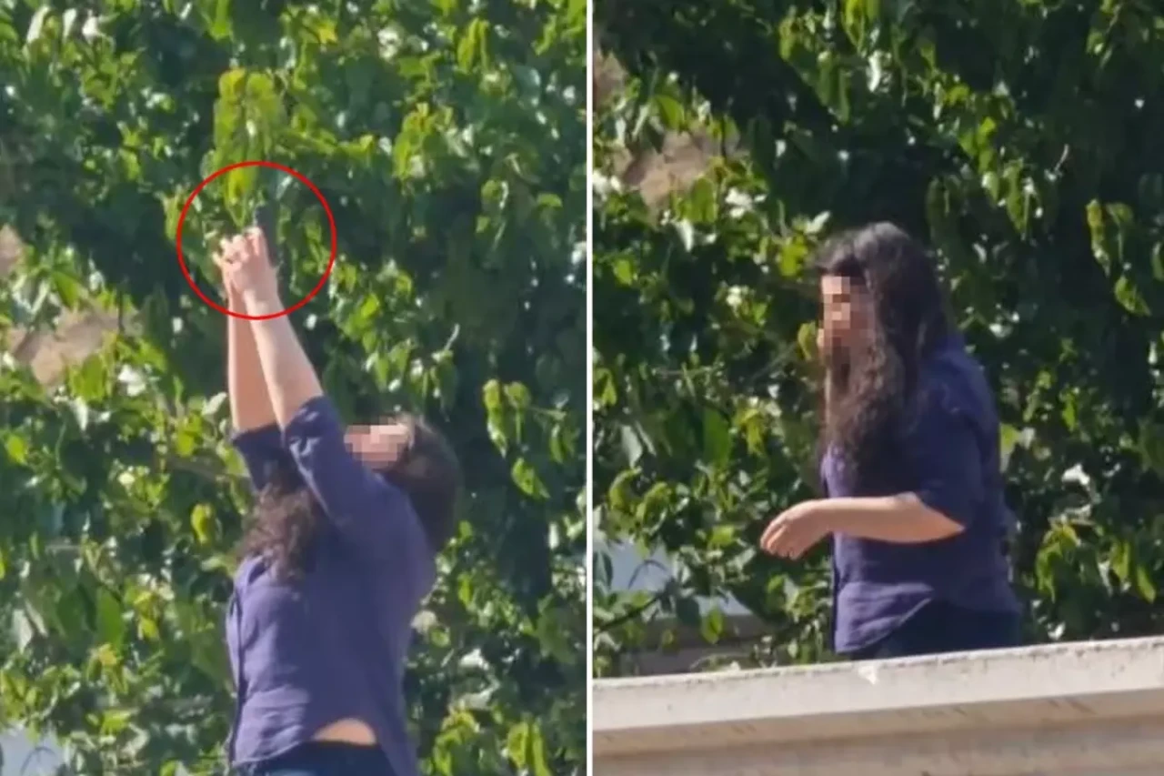 Çankırı'da erkek arkadaşının ofisine ateş eden kadın intihara kalkıştı!