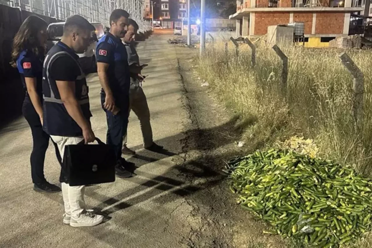 Ticaret Bakanlığı'ndan Kocaeli'de boş araziye salatalık döken kişiye dev ceza