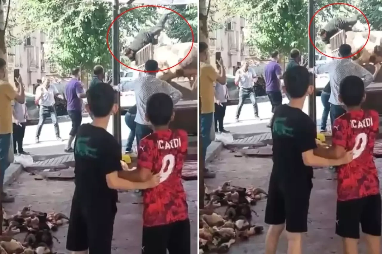 Kızgın boğa kasaba hayatının kabusunu yaşattı