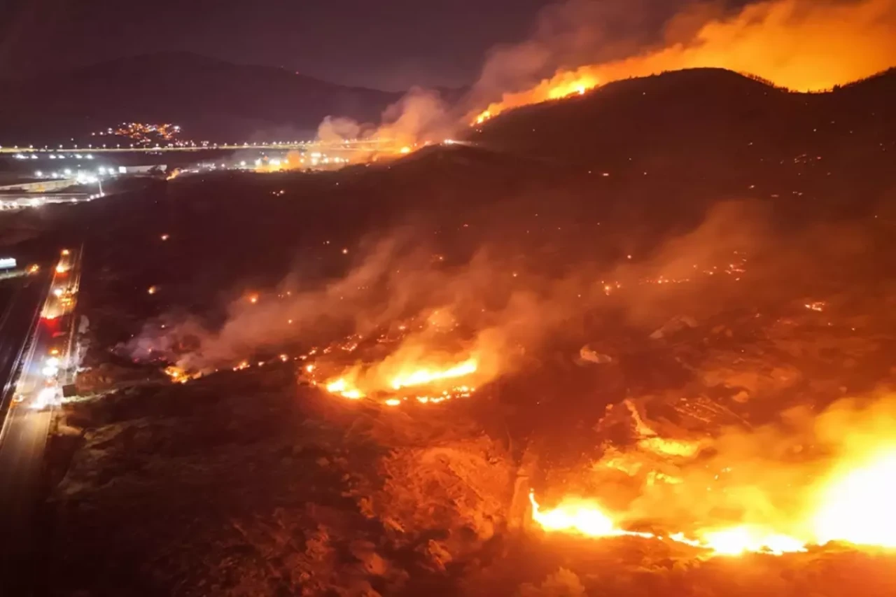 İzmir'de orman yangını: 1 kişi gözaltına alındı