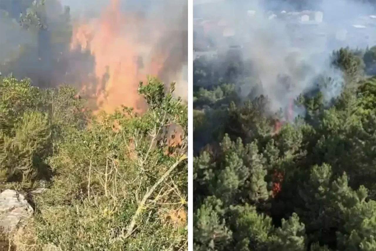 İstanbul Aydos Ormanı’nda yangın!
