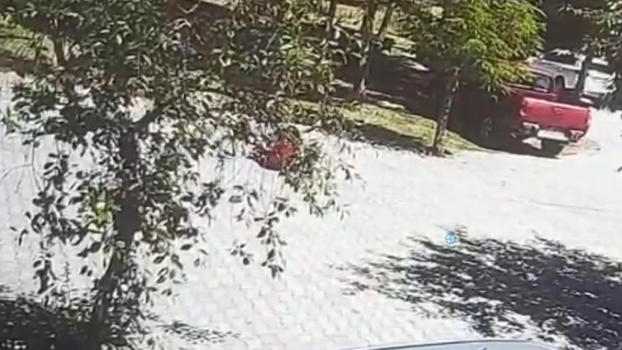 Başıboş köpeklerin saldırdığı çocuk vatandaşın yardımıyla kurtarıldı