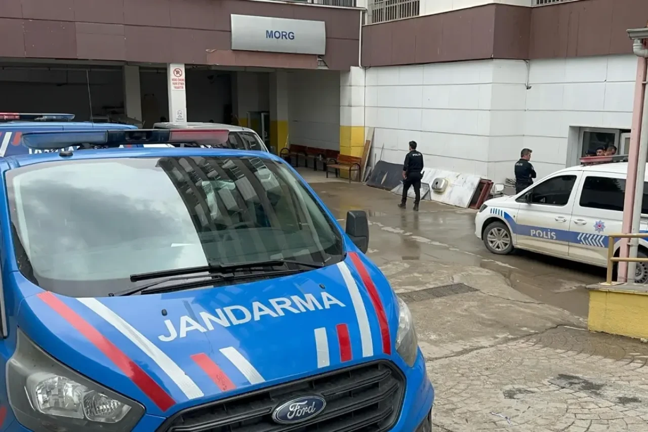 Dede torununu kurtarmak isterken canından oldu!