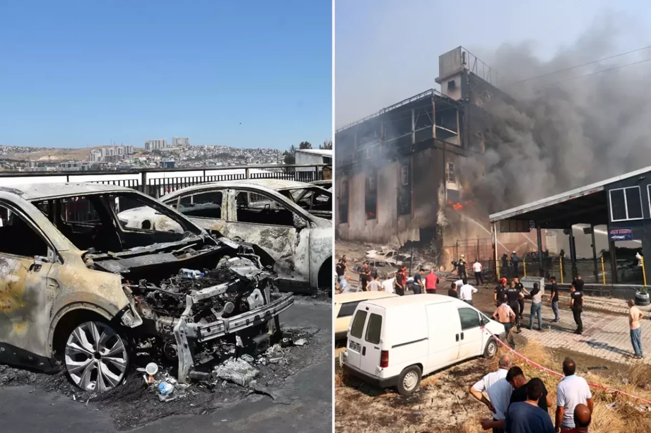 İzmir'deki Orman Yangını: Felaket göz göre göre gelmiş