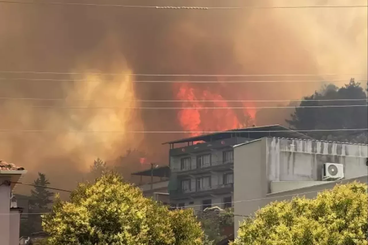 Bursa’da orman yangını mahalleye sıçradı!