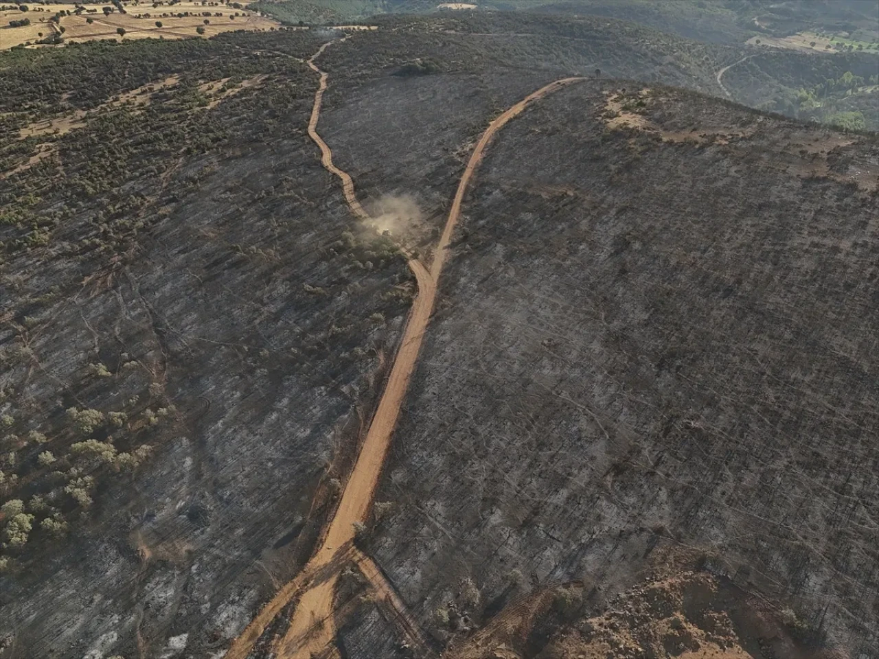 Bakan açıkladı: 3 İl'deki orman yangınları kontrol altında