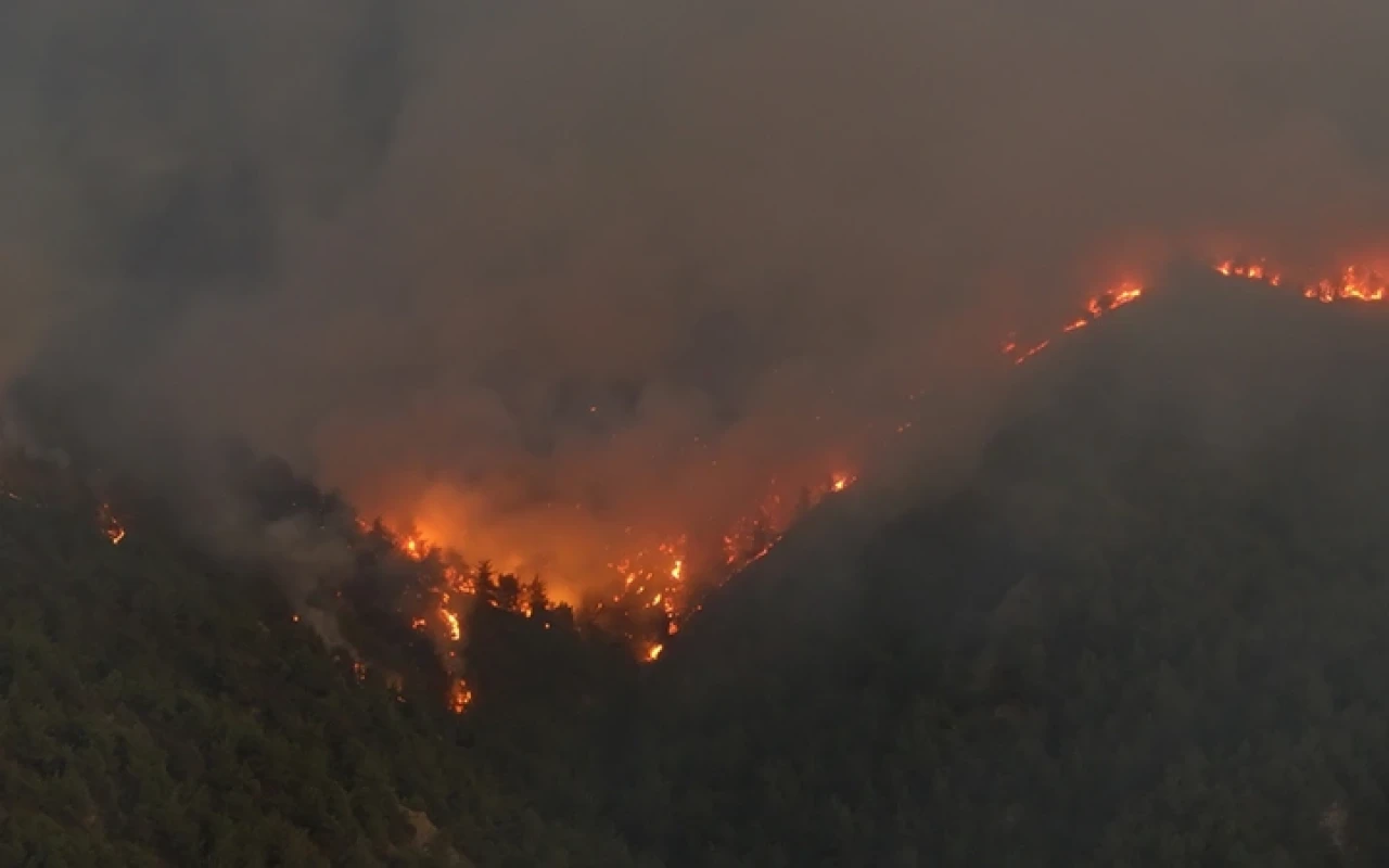Sakarya-Bilecik orman yangınında son durum! Alev hortumu oluştu