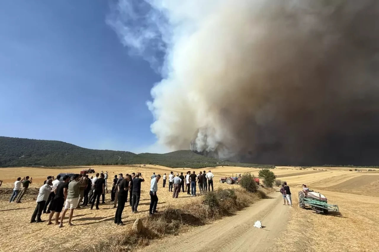 Sakarya’daki orman yangını Bilecik’e sıçradı!