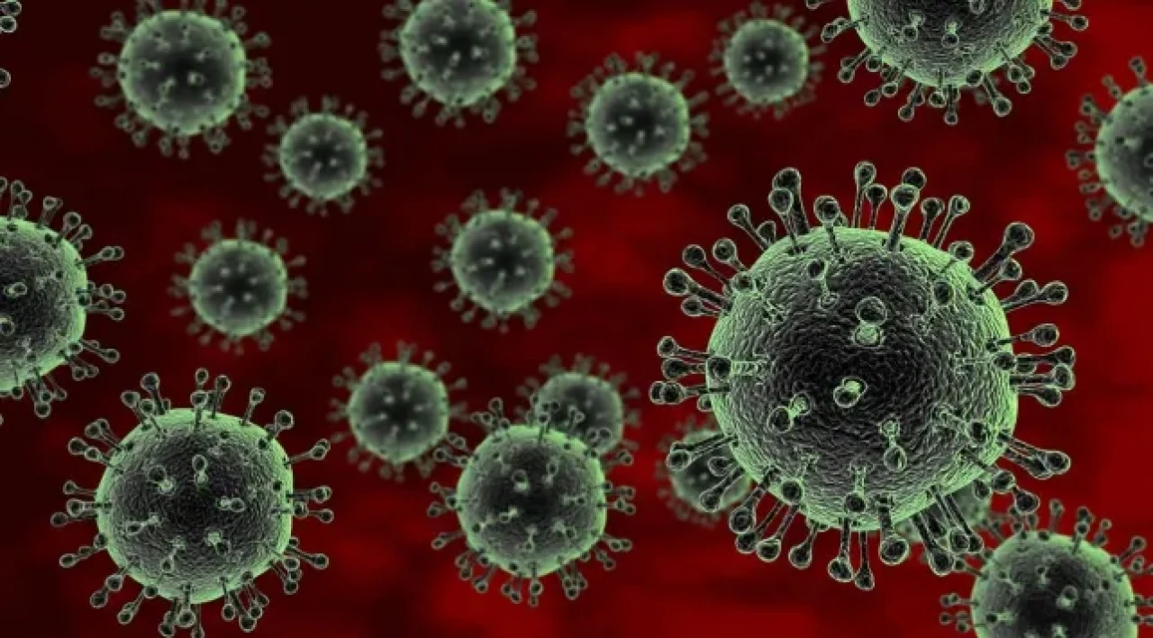 DSÖ'den "salgın" uyarısı! Chikungunya virüsü hızla yayılıyor, 5.6 milyar kişi risk altında