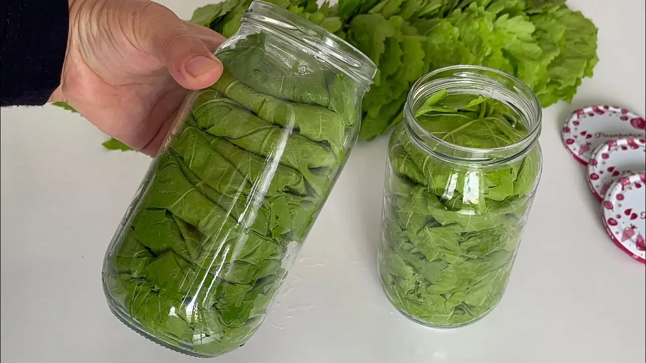 Asma yaprağı nasıl saklanır? Kışlık saklamanın en pratik yolu