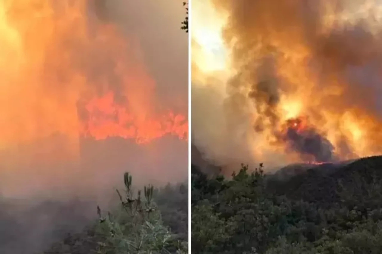 Sakarya'da orman yangını paniği! Tahliye kararı