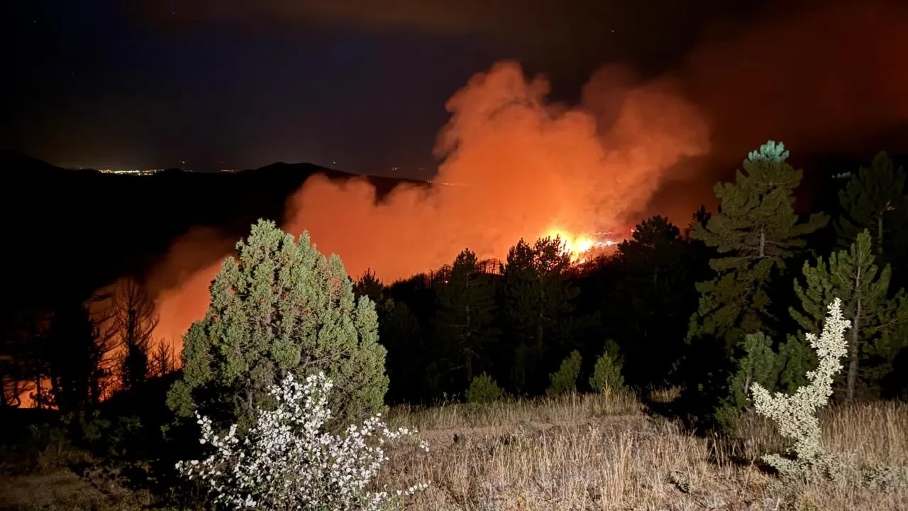 Konya'da orman yangını! Alevler Isparta'ya kadar ulaştı