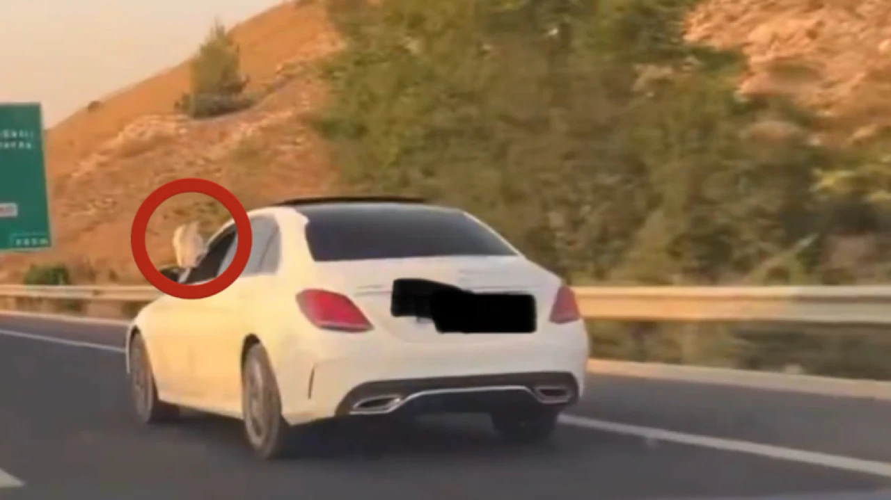 Ayakları dışarıda araç kullanan kişi bakın kim çıktı