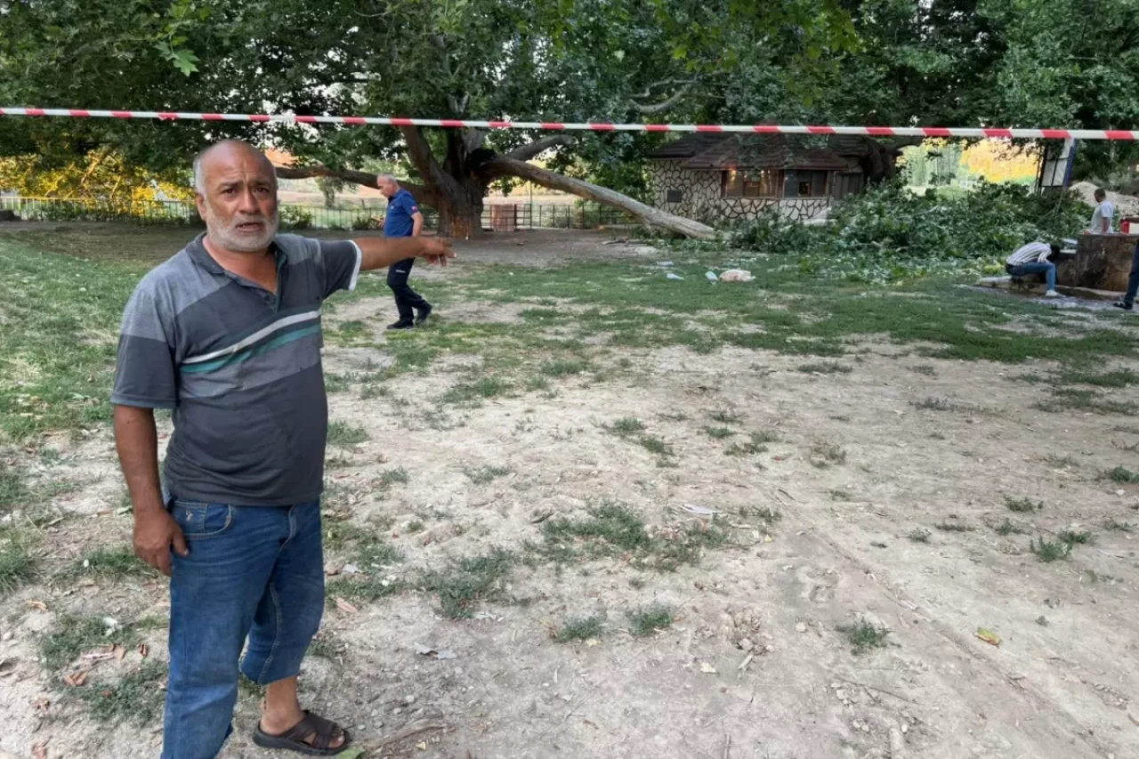 Kırılan ağaç dalı aynı aileden 11 kişiyi hastanelik etti