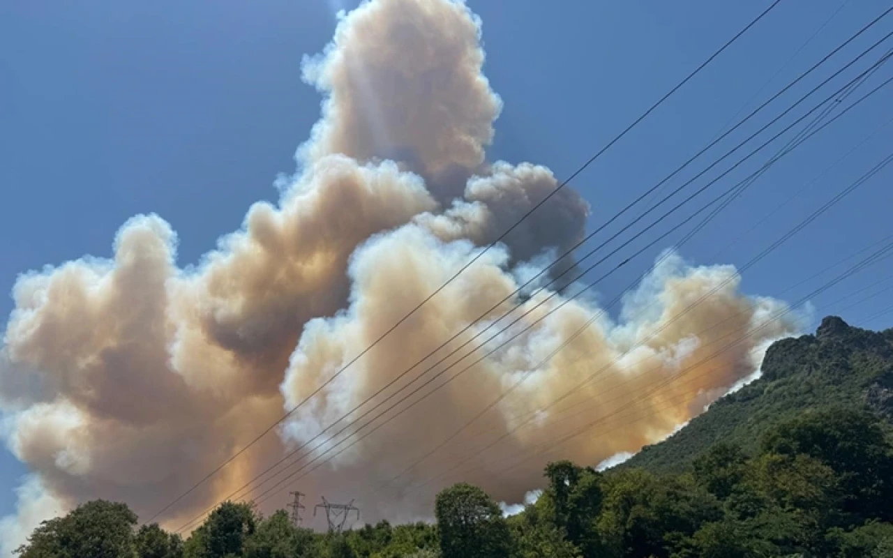 Sakarya'da yeni yangın çıktı! Geyve'de dumanlar gökyüzünü sardı