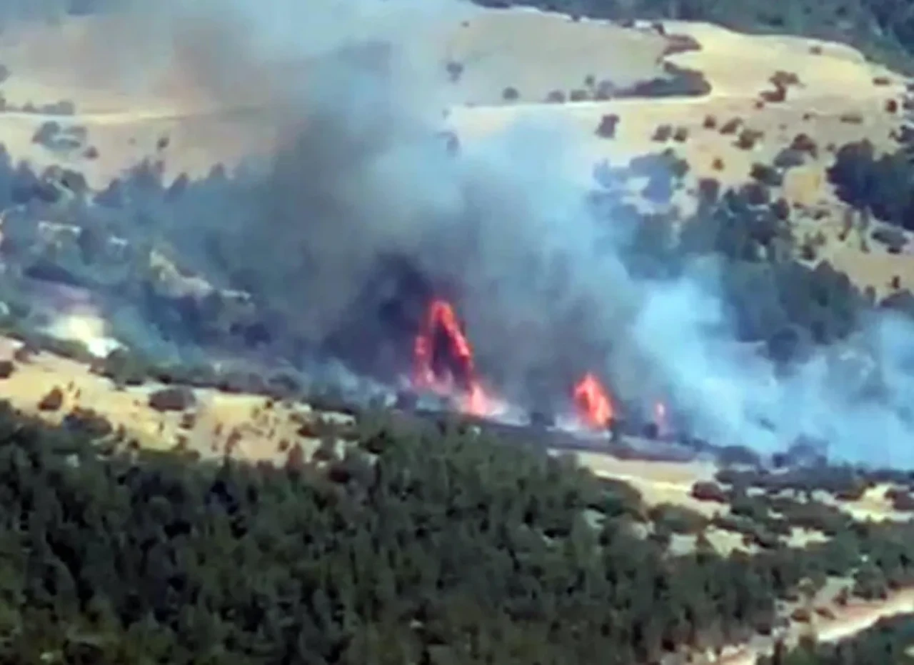 Manisa'da tarım arazisi yangını!