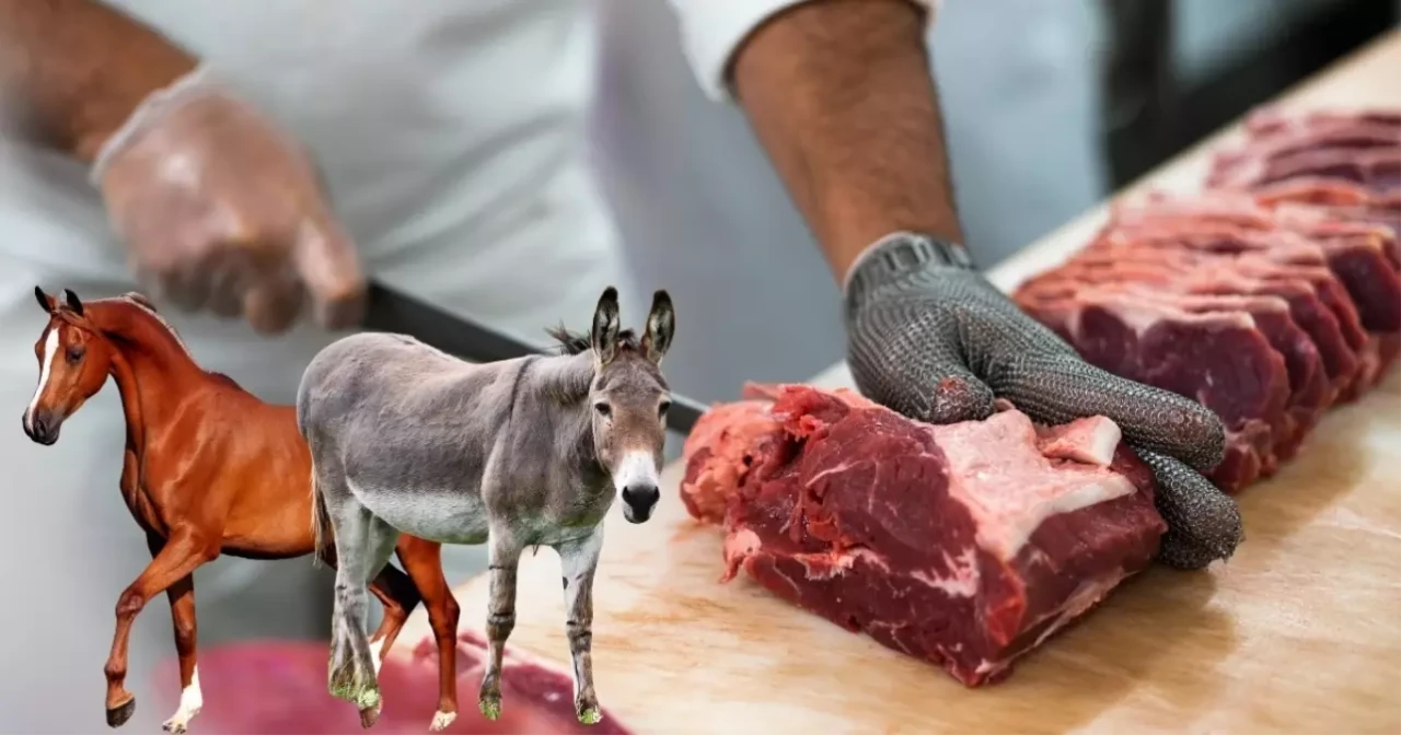 Bakanlık ifşa etti: İki ilimizde vatandaşa at ve eşek eti yedirdiler