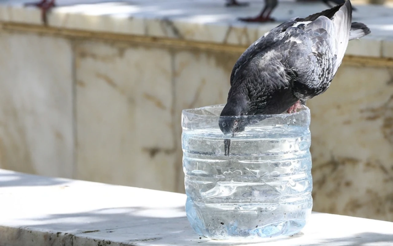Meteoroloji duyurdu aşırı sıcaklar geri geldi 14 Temmuz haftası hava kavrulacak