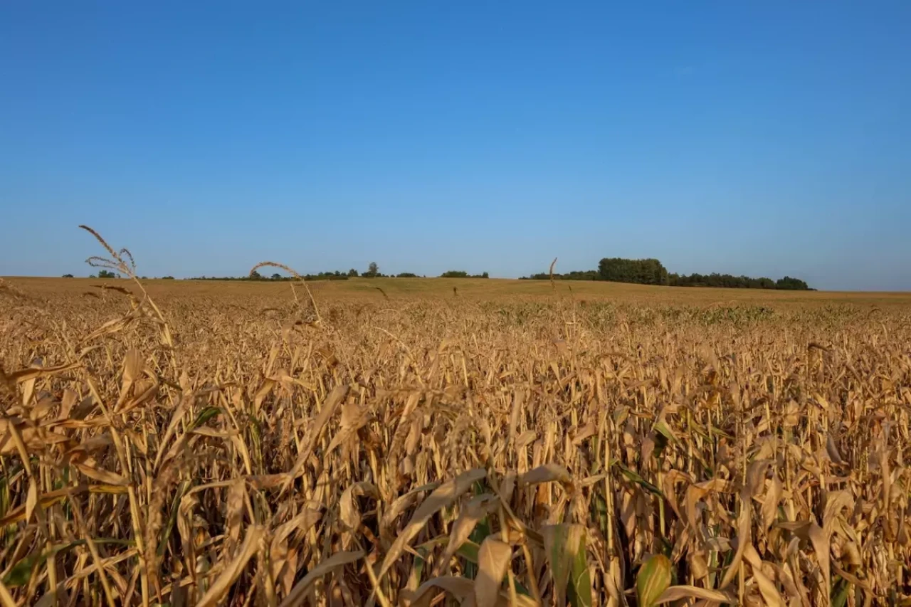 Türkiye son 52 yılın en kurak dönemini yaşıyor!