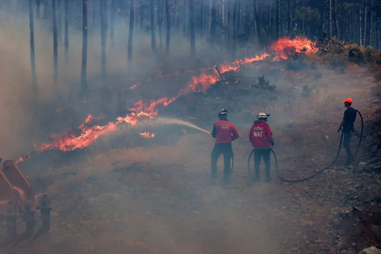 Türkiye, orman yangınlarıyla mücadelede en başarılı ülke!
