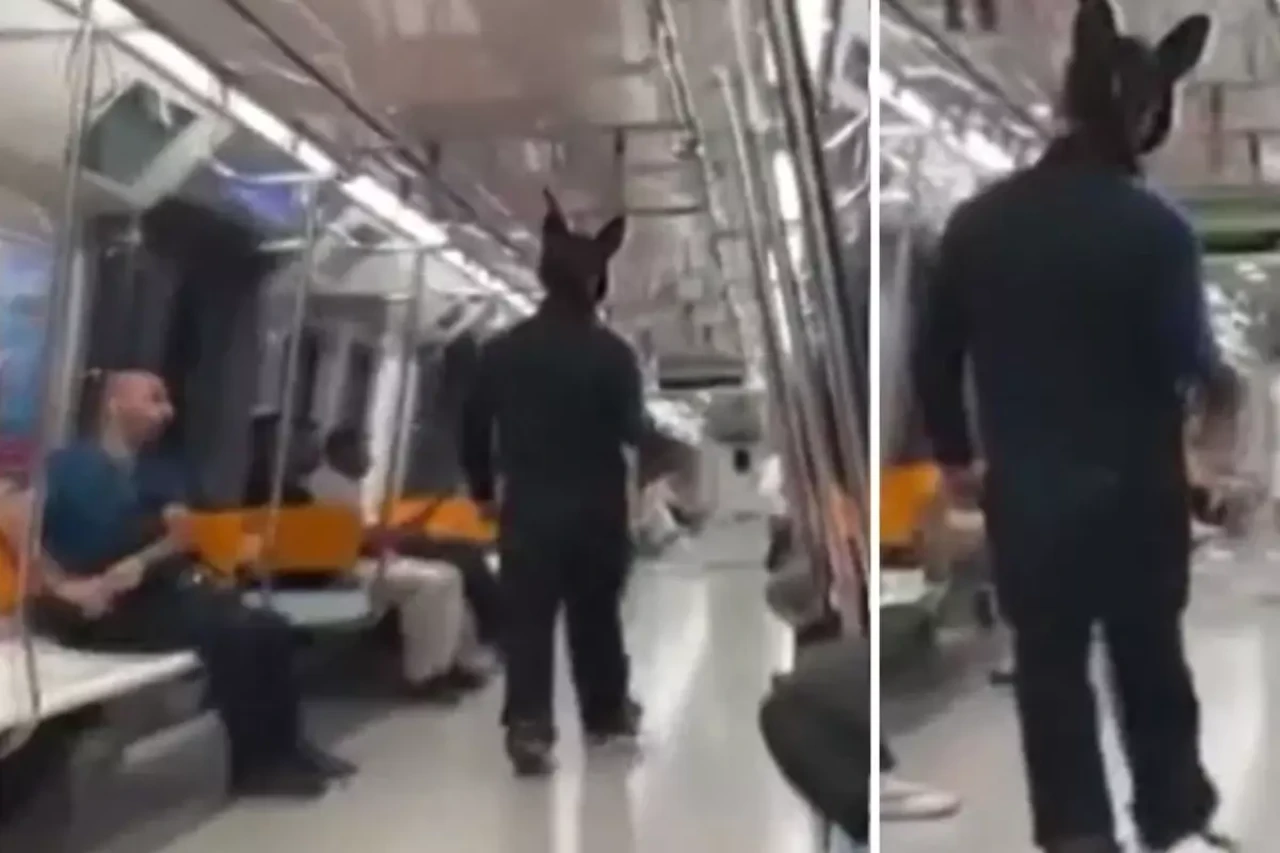 Üstünde tavşan kostümü, elinde oyuncak tüfekle metroya binen şahıs gözaltına alındı