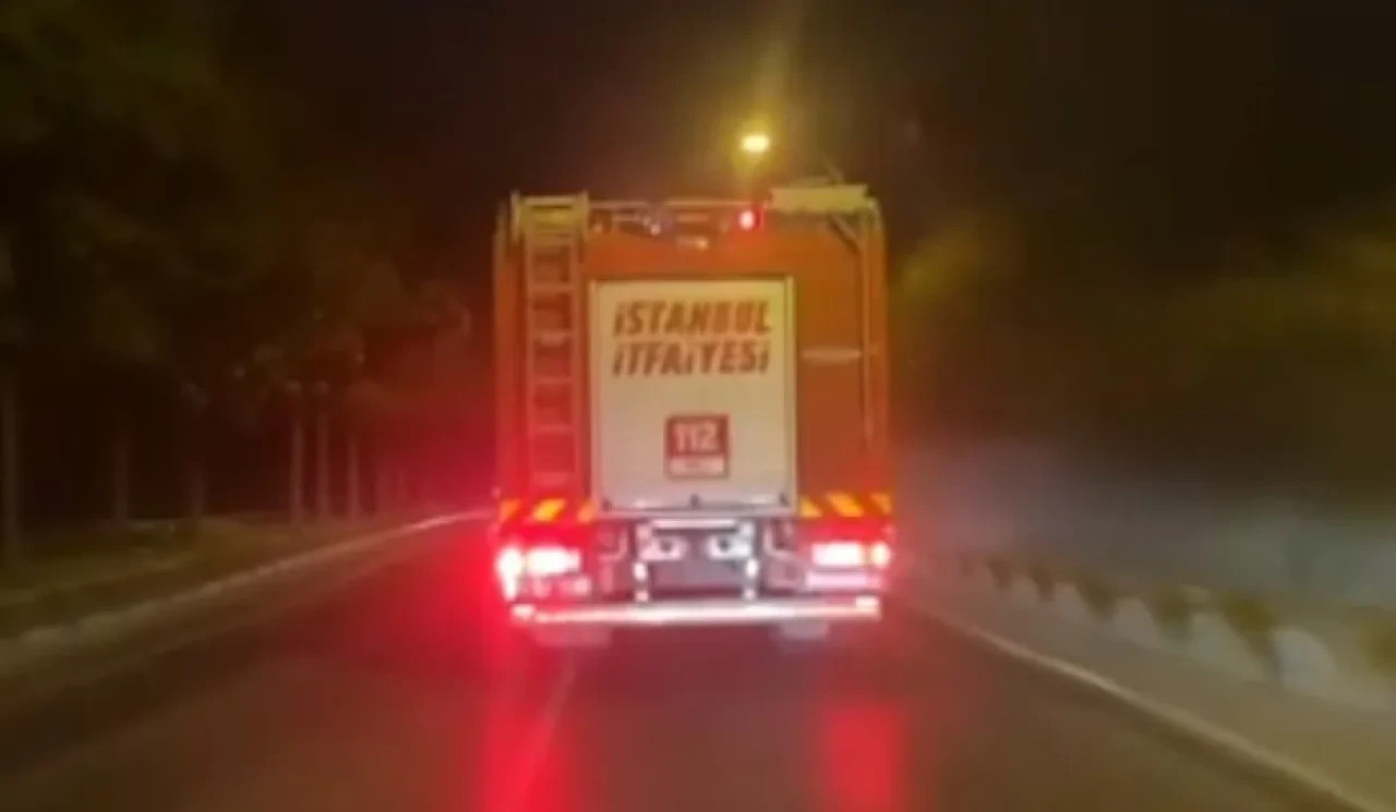 İstanbul Beykoz'da orman yangını!