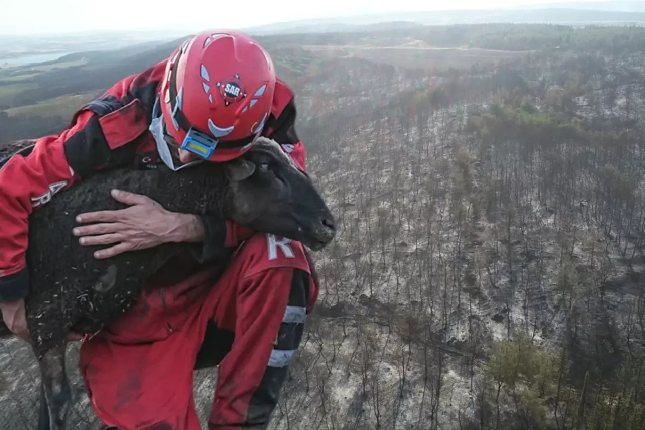 Tekirdağ'daki orman yangını ikinci günde kontrol altına alındı