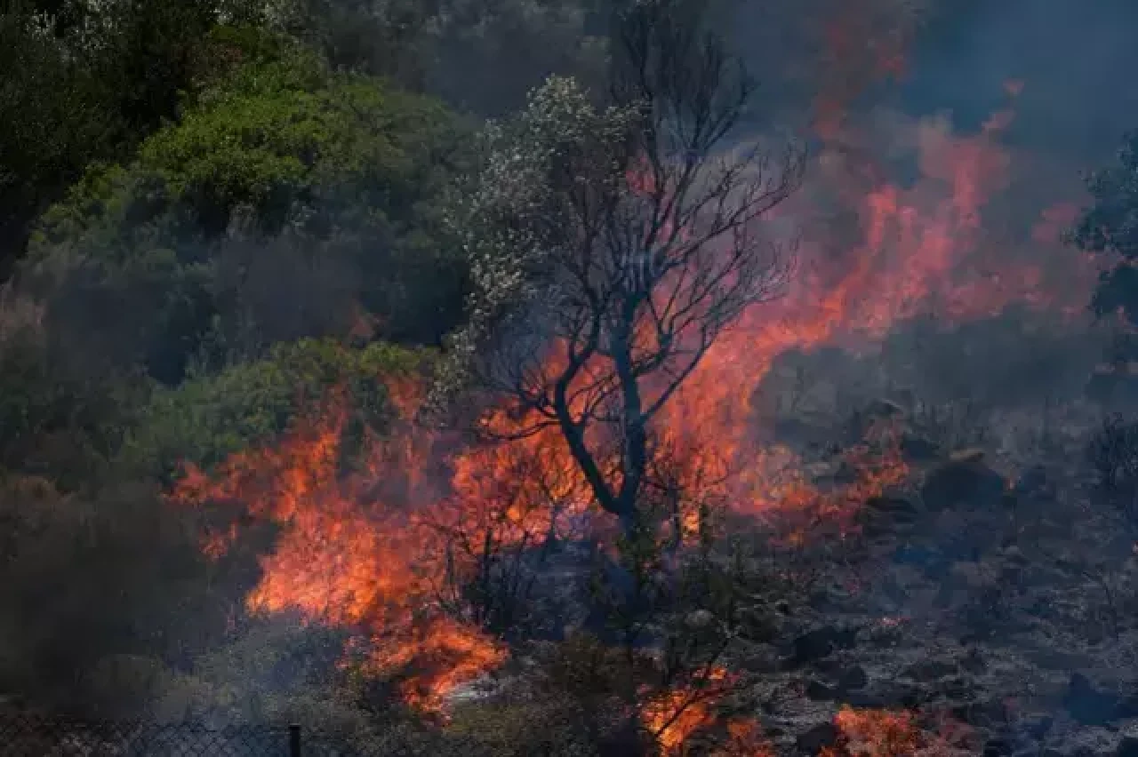 İzmir’de orman yangınları büyüyor: 3 köy boşaltıldı, 1 kişi hayatını kaybetti!