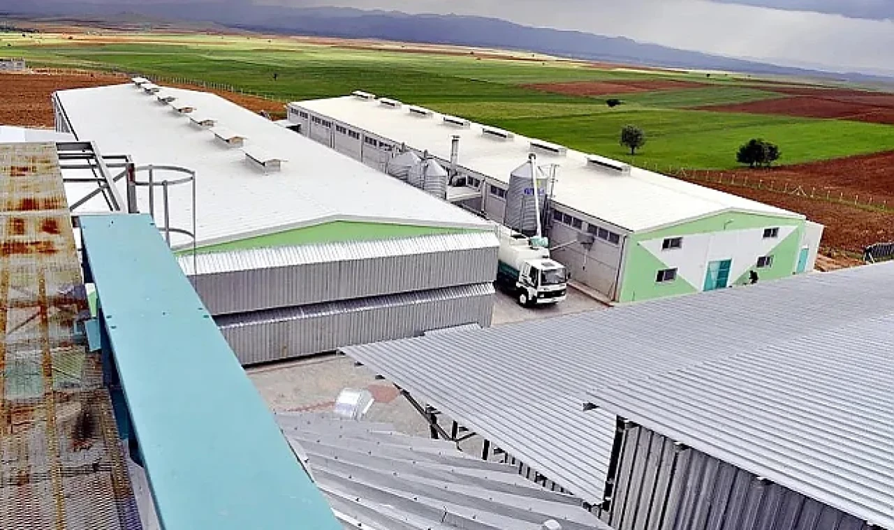 Yumurta firmasına FETÖ'den kayyum atandı