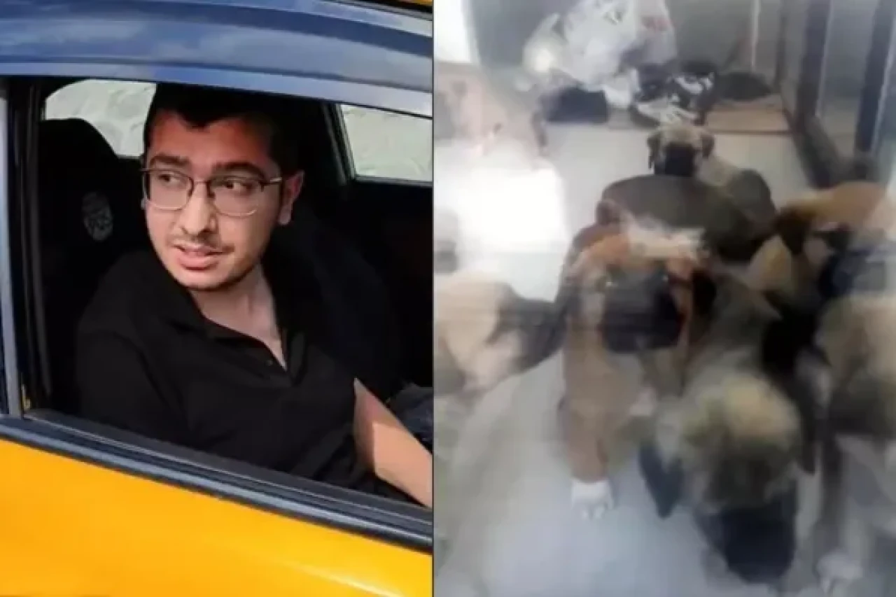 Köpekleri istismar edip öldürmekle suçlanan doktor: Zevk olarak evde yaptığım şeyler