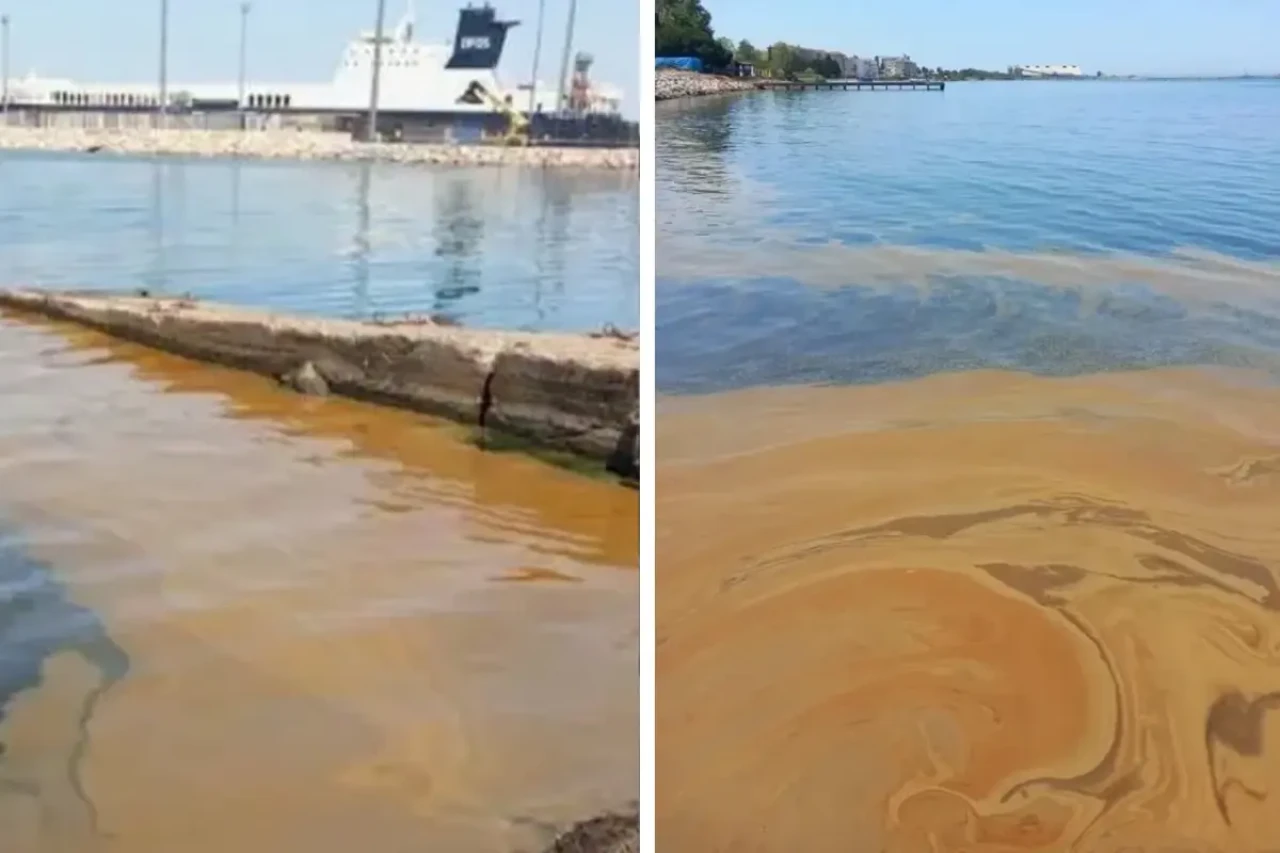 Yalova'daki deniz kirliliğine müdahale: Numuneler TÜBİTAK'a gönderildi!
