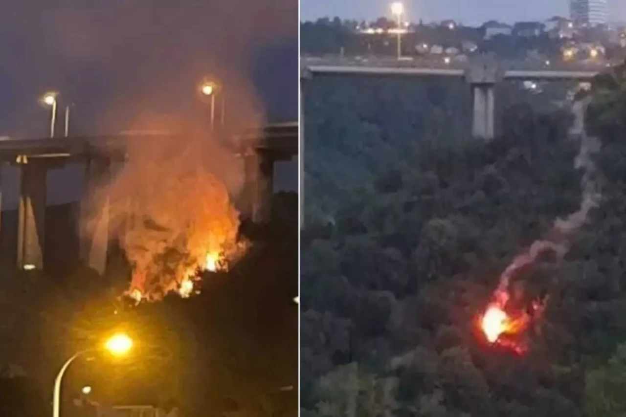 Beykoz'daki orman yangını sonrası valilik o ürünlerin satışını yasakladı