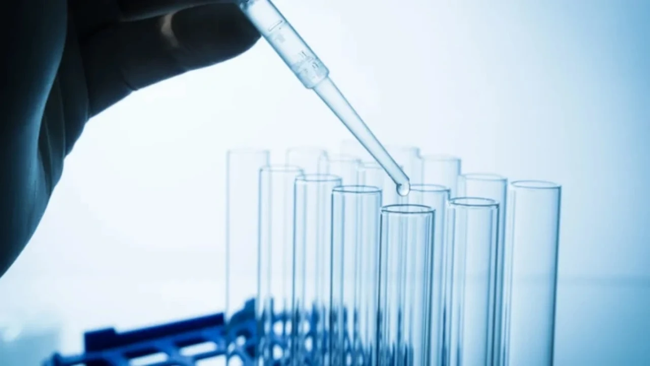 Etikette artık 'ölüm' yazacak! Yeni düzenleme geliyor